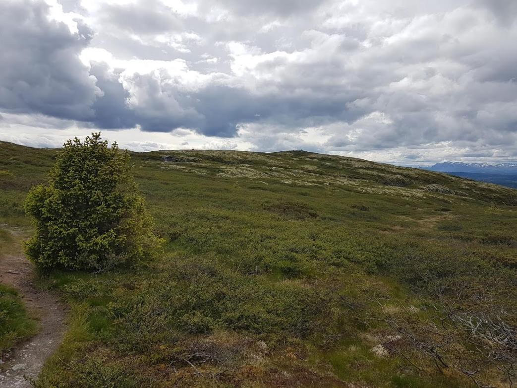 Hos Blafjelldal, Bagn I Valdres住宿加早餐旅馆 外观 照片