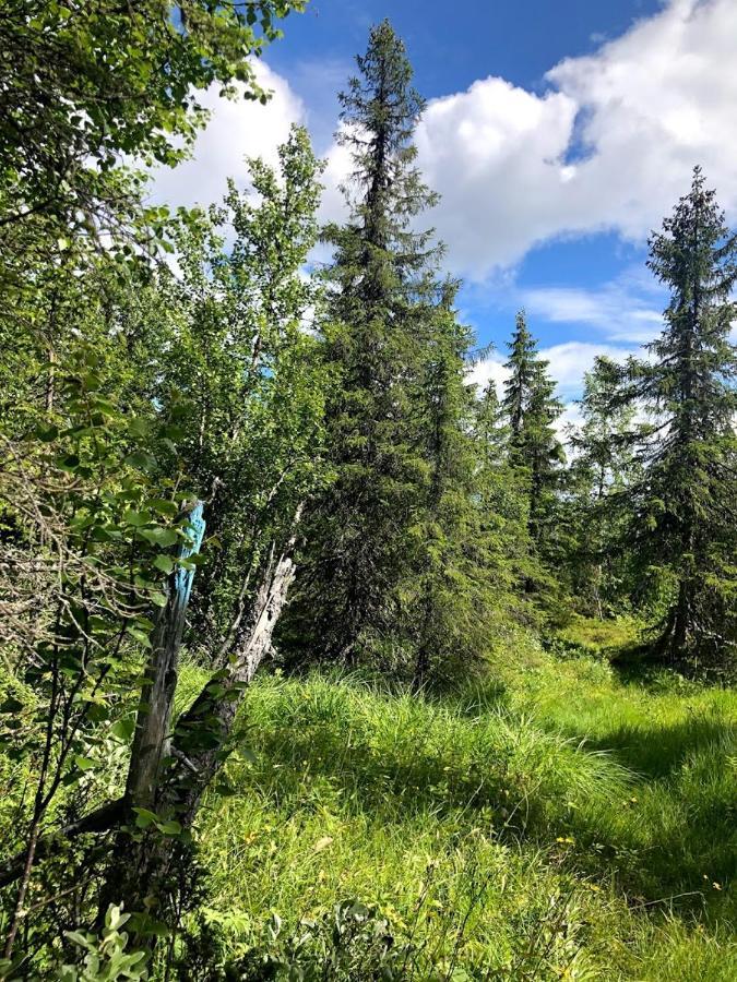 Hos Blafjelldal, Bagn I Valdres住宿加早餐旅馆 外观 照片